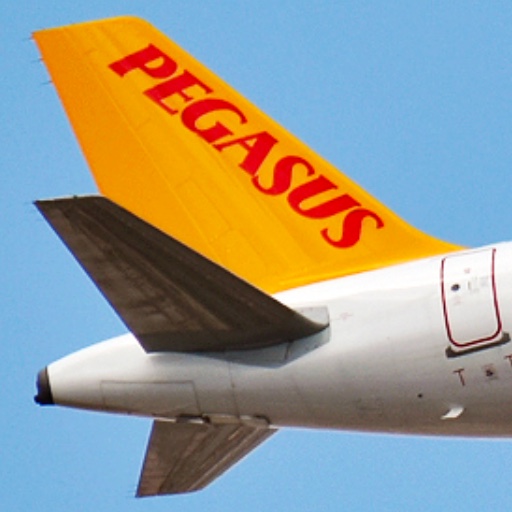 Pegasus Airlines билеты в Анталию