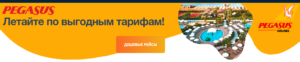 Купить билет Pegasus Airlines официальный сайт на русском